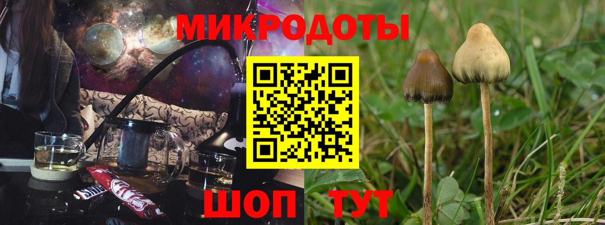 Королёв  Псилоцибиновые грибы Magic Shrooms  купить наркотики сайты  Вход с VPN  Галлюциногенные грибы ЛСД 